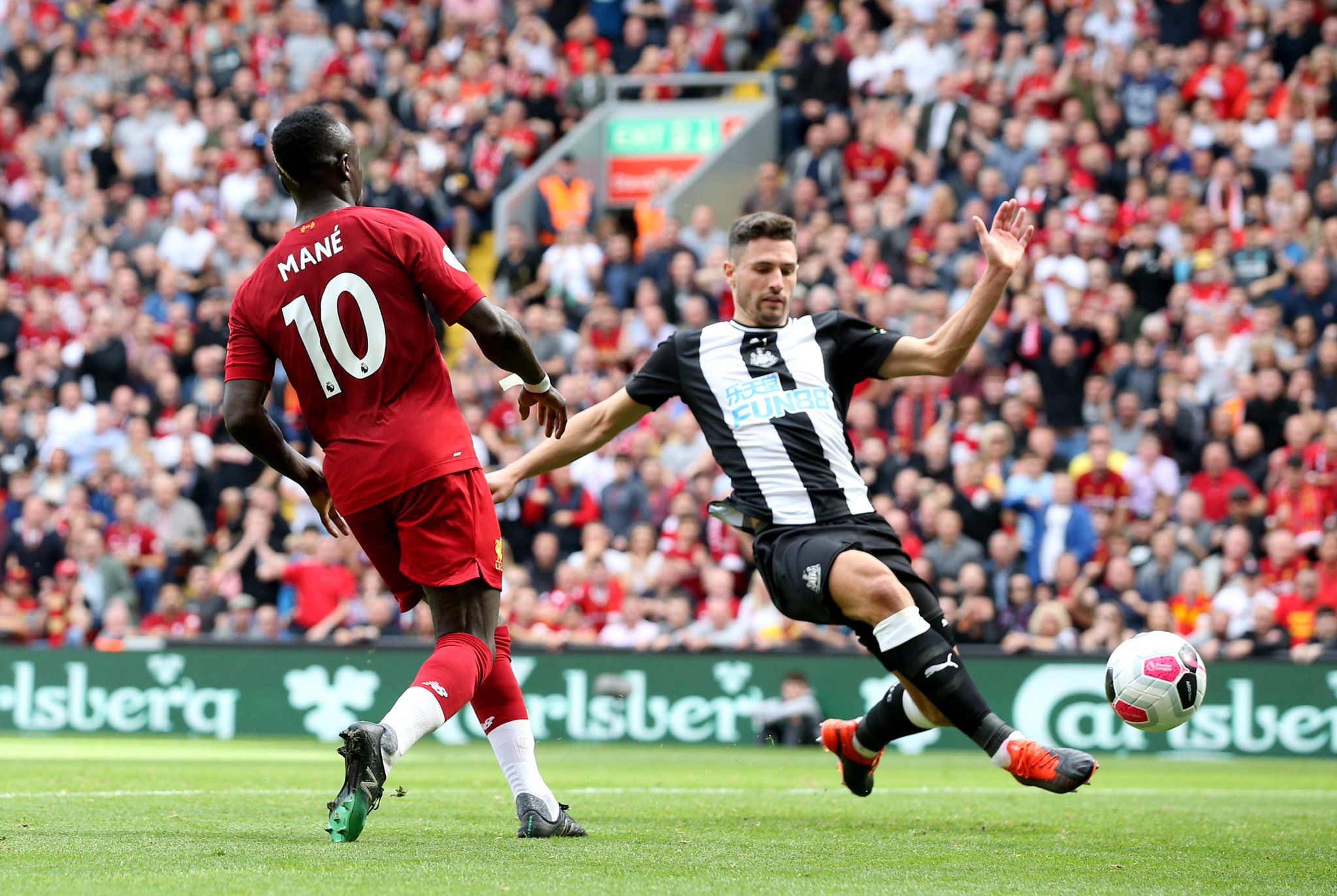 以其独特的 以其独特的